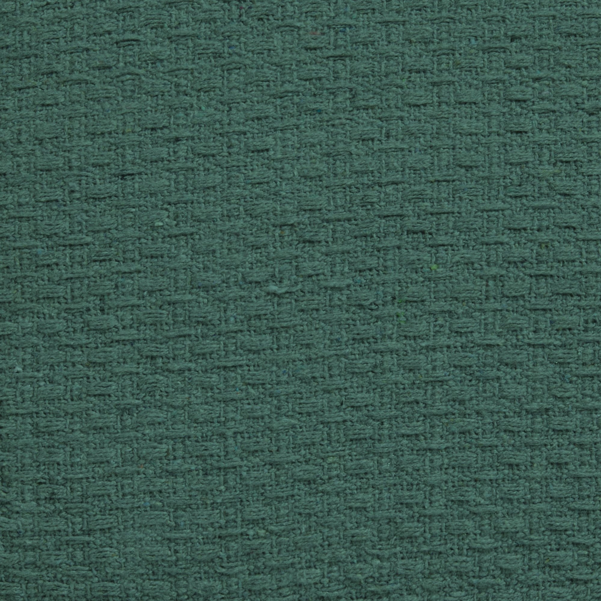 Hayden Cushion by Drift Home in Green 43 x 43cm - Cushion - Drift Home